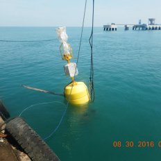 Cautionary Buoy Installation